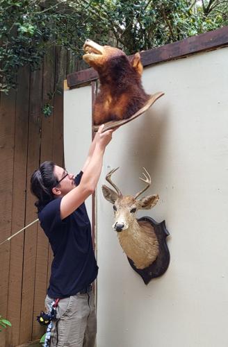 Ethan Gonzalez decorates the set