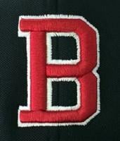 Veteran Post 21 baseball squad features 12 returning players