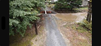 floodingfontaflora.jpeg