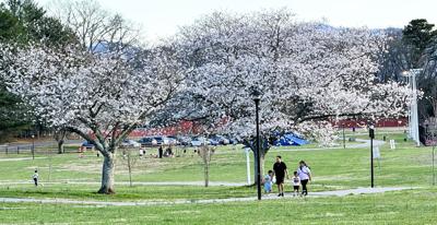 Freedom Park