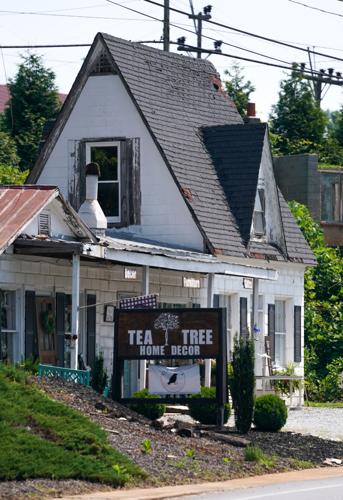 Tea Tree