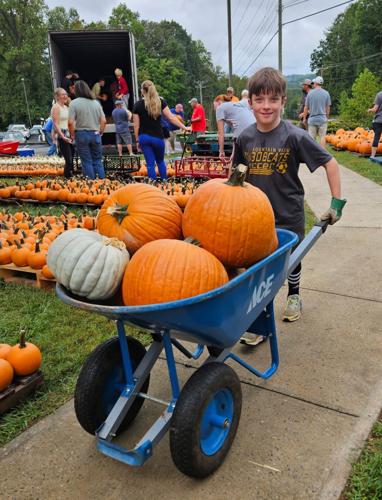 pumpkins3.jpg