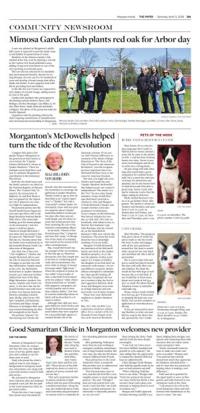 Page A11
