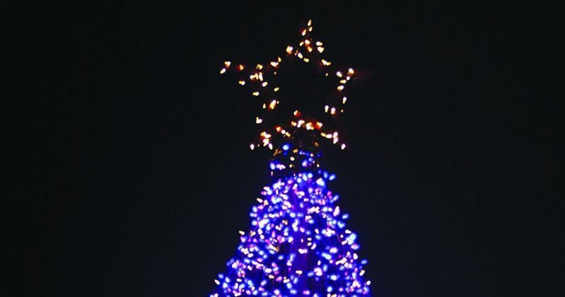Downtown Christmas Tree Lighting set for November 22 | News Downtown Christmas Tree Lighting set for November 22 | News