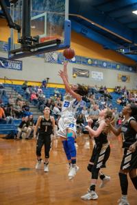 North Lamar High School Girls Basketball Sports Theparisnews Com