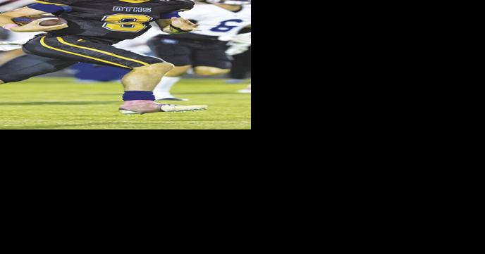 Panthers comeback stopped by Spring Hill - Vimarsana News