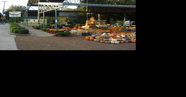 A 'growing' concern: Paris Farmers and Artisan Market grows, adapts to meet needs of vendors, customers | Lifestyles - Vimarsana News