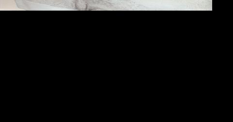 Martha Jayne Guest-Anderson - Vimarsana News