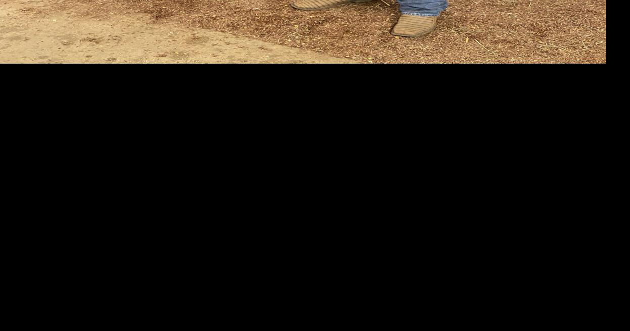 VALLEY VISIONS 55th Lamar County Junior Livestock Show results News