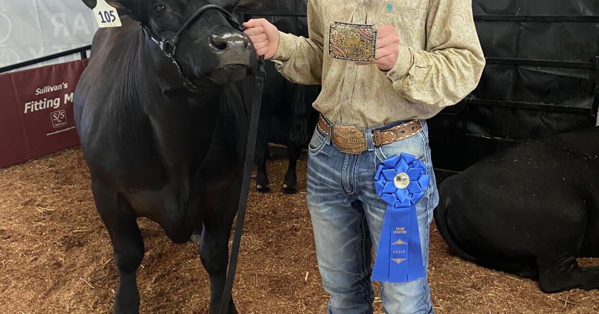 VALLEY VISIONS 55th Lamar County Junior Livestock Show results News