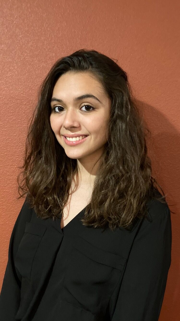 Paris senior wins statewide VFW scholarship - Vimarsana News