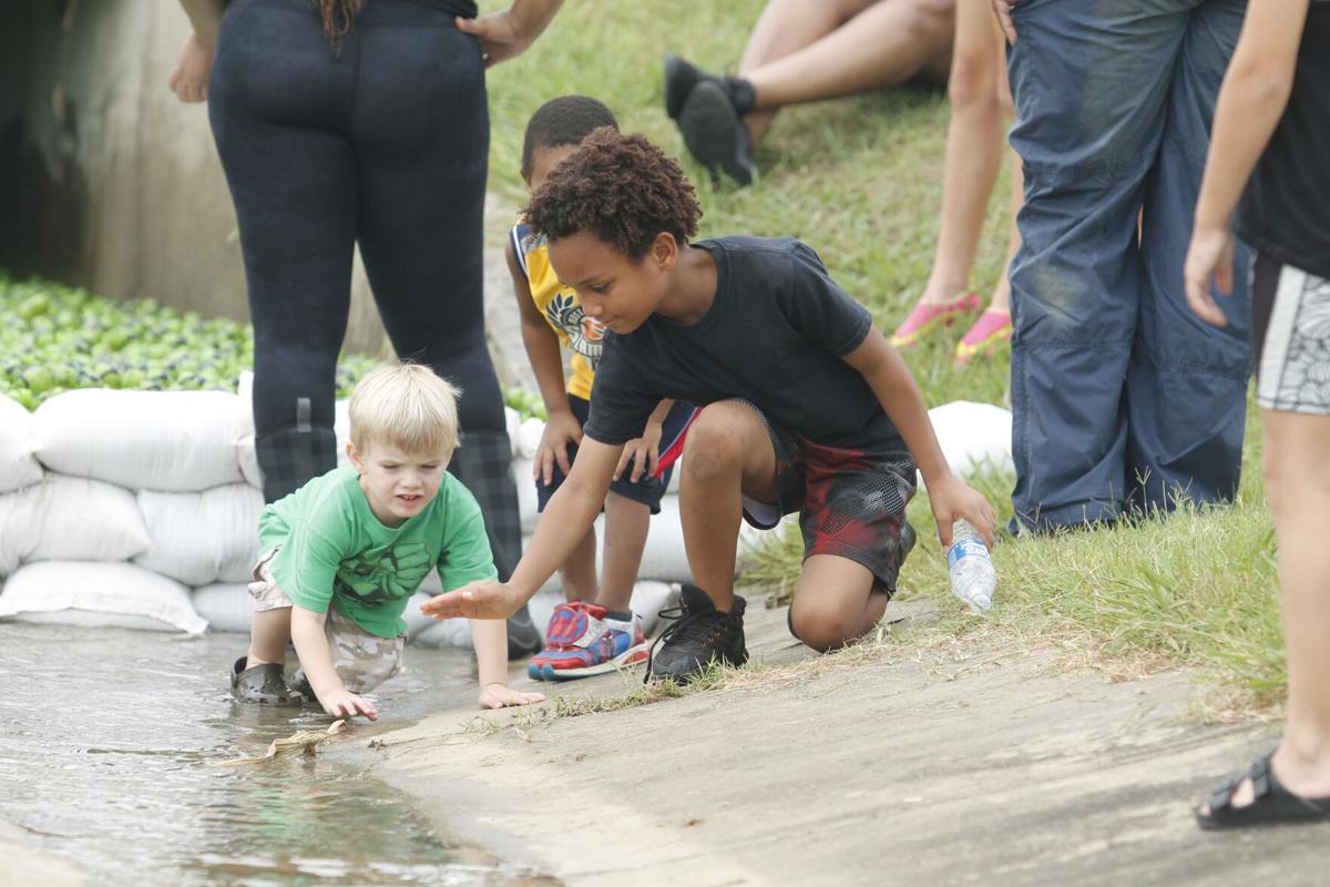Johnny Stallings Memorial Turtle Float