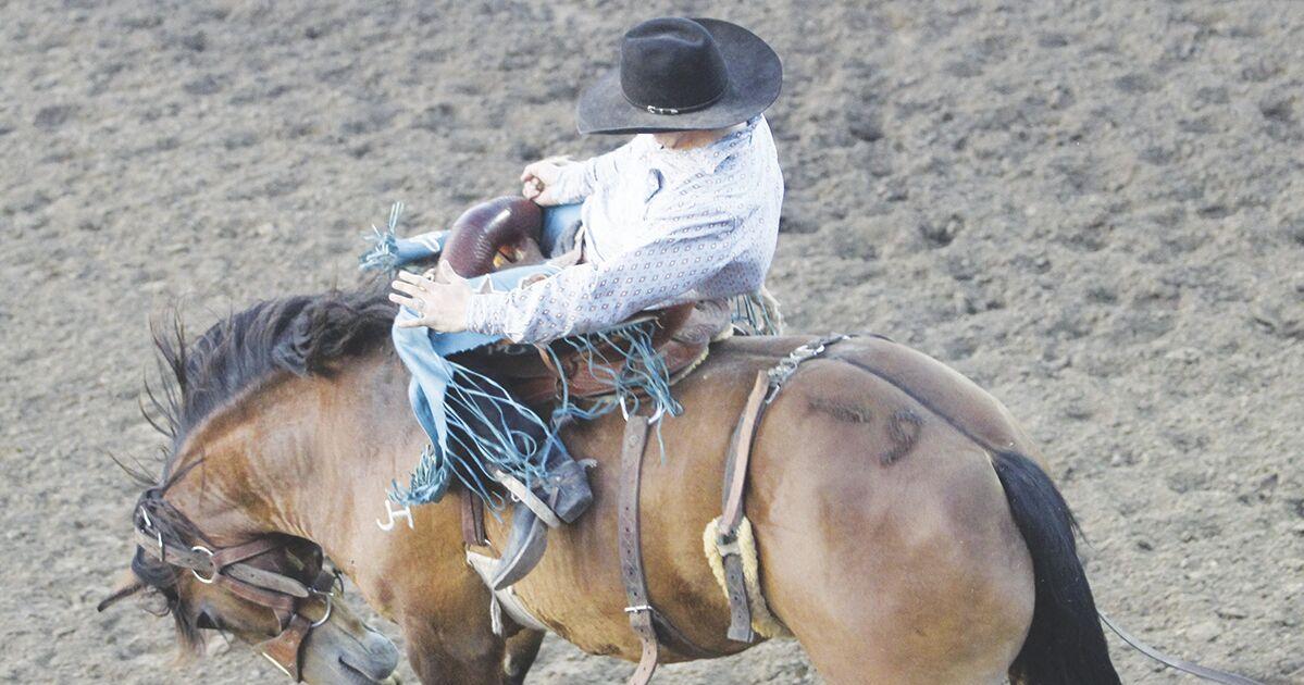 Coffs Rodeo Winners crowned during 75th annual Cooper Rodeo competition | Sports ...