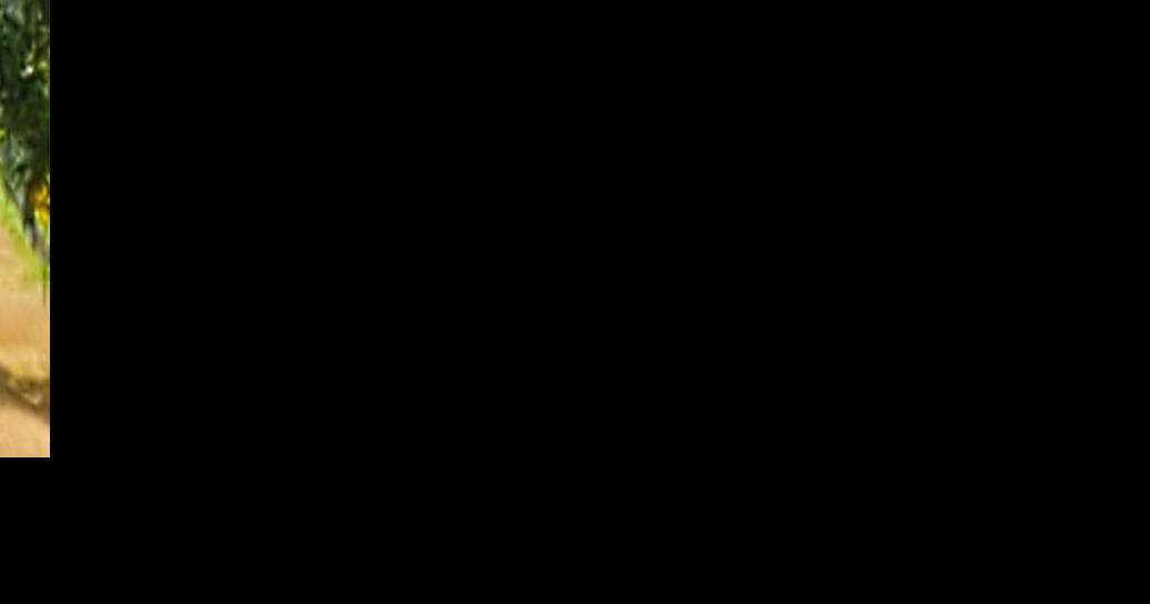 Highway 82 accident involving two motorcycles Free