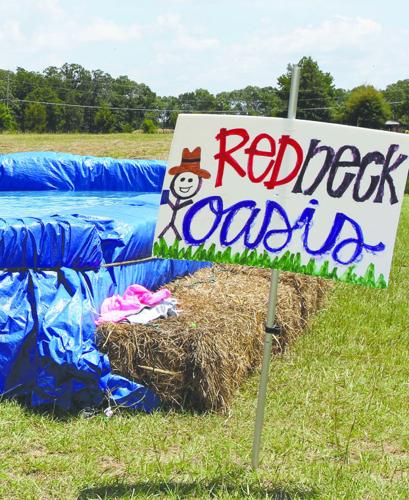 Turning A Few Hay Bales And A Tarp Into A Summer Oasis Free Theparisnews Com