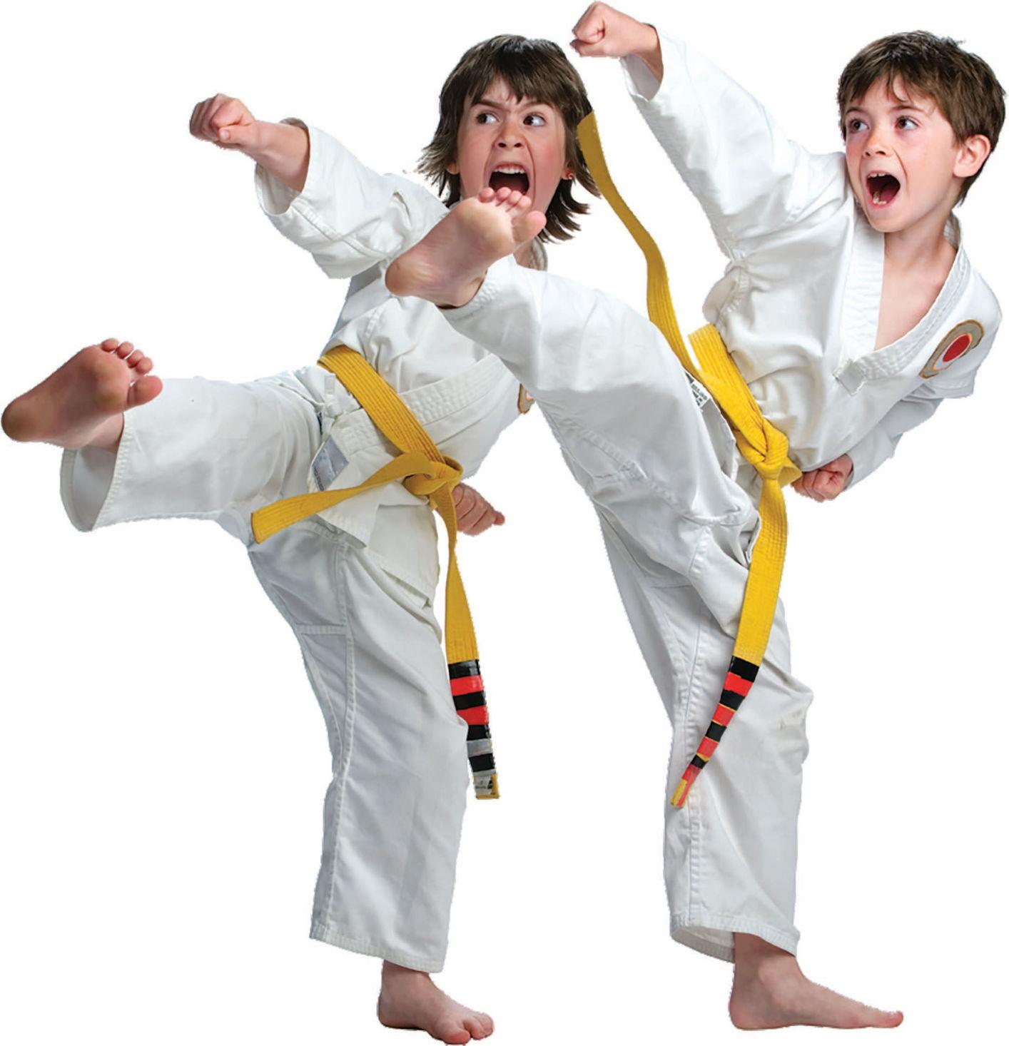 James Hale Hands Down Life Lessons Through Martial Arts Theparisnews Com