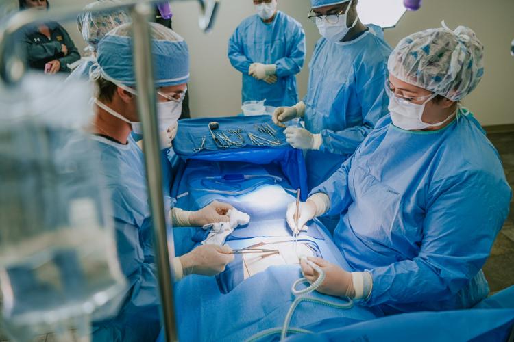 Pjc Radiology Program Valley Visions 2026 Healthcare: Excellence in action: PJC’S nursing ...