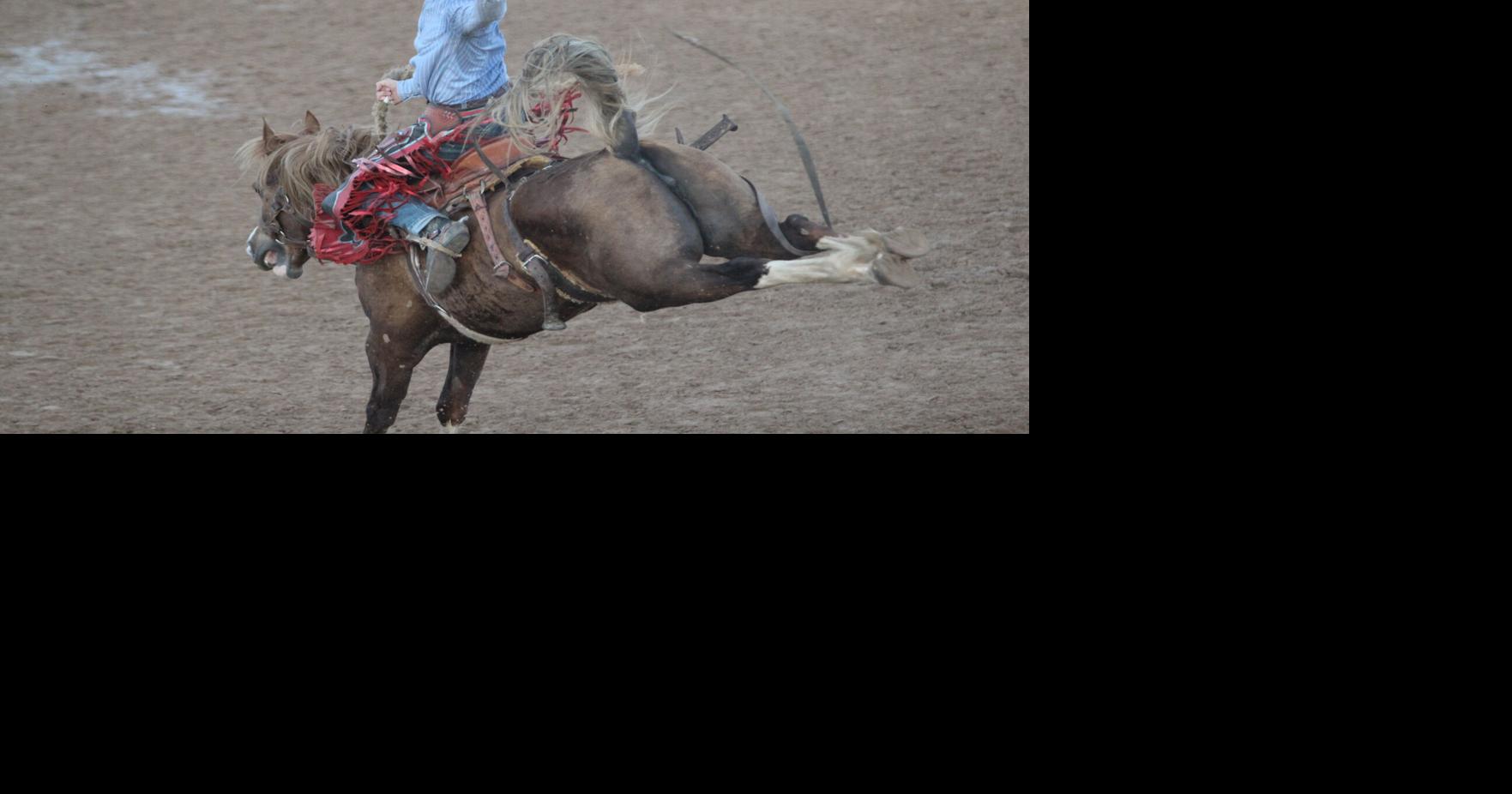 Free: 76th Annual Bogata Rodeo Night 3 (Part 2 Gallery) | Free ...