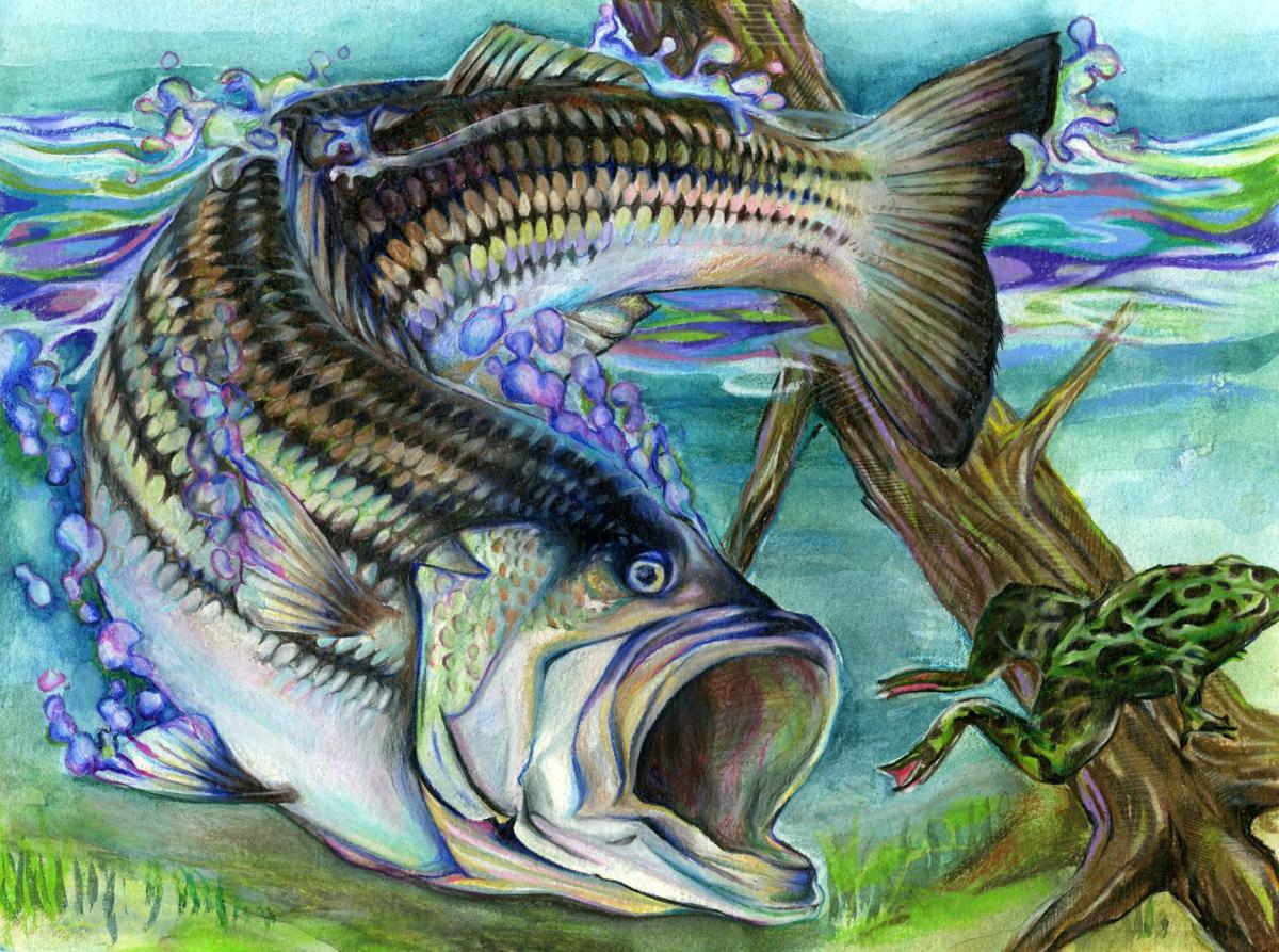 Texas State Fish Art Contest Announces 2020 Winners Lifestyles Theparisnews Com