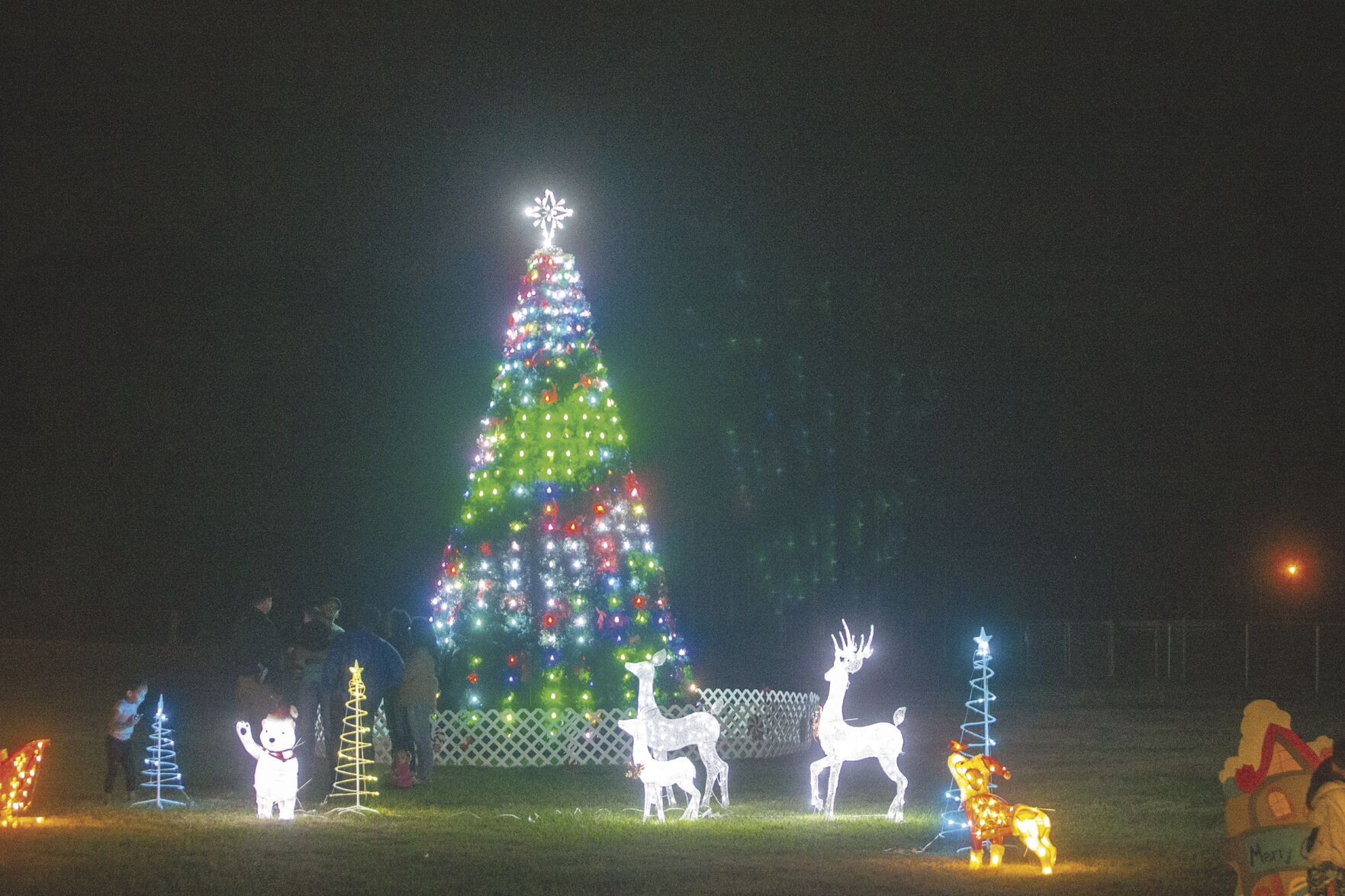 Tree Of Many Colors: Reno Begins City’s Christmas Season | News ...