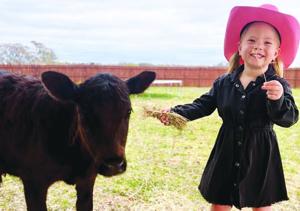Lamar County Junior Livestock Future Exhibitors start it all