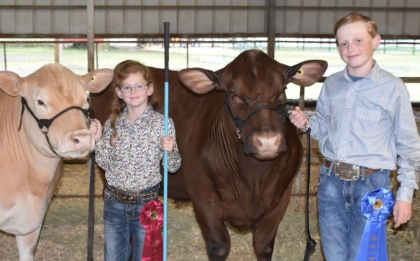 VALLEY VISIONS: Buyers pay $275K at Show of Champions - Vimarsana News