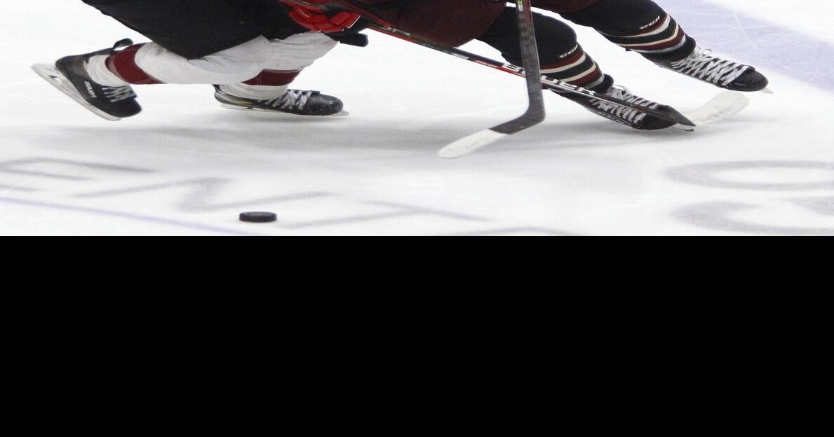 Don Barrie Peterborough teams are an example of how hockey and