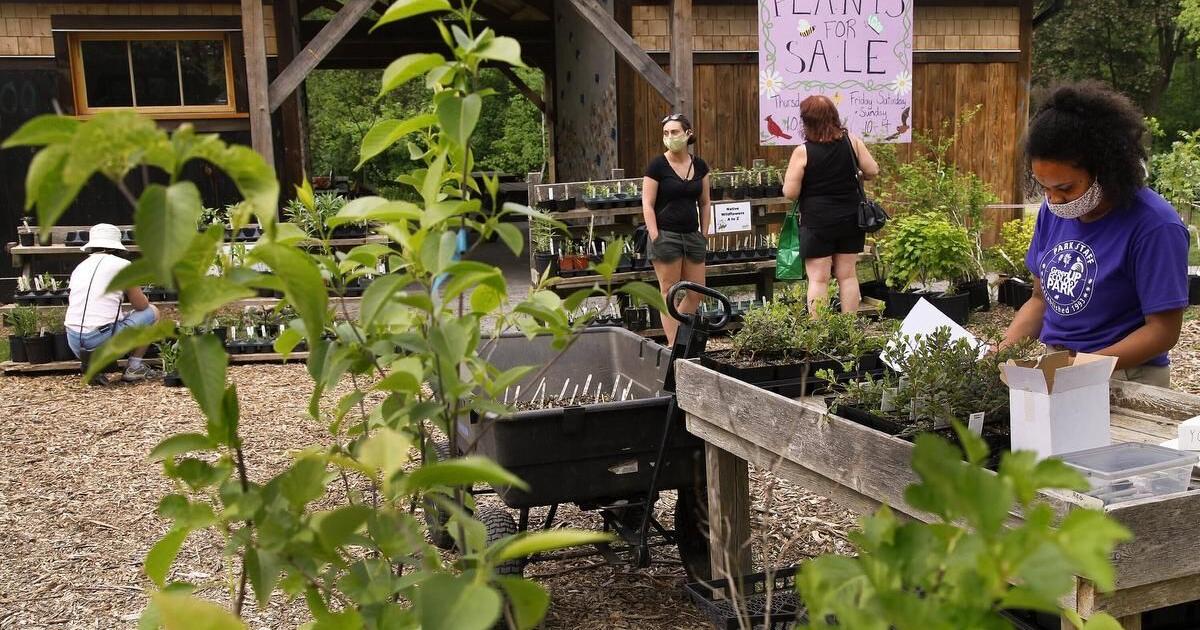 Photos GreenUP Ecology Park Plant Sale Sprouts In Peterborough photos-greenup-ecology-park-plant-sale-sprouts-in-peterborough