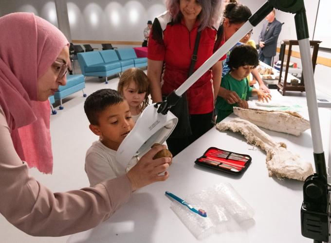 Discovering Dinosaurs drop-in program held at city library