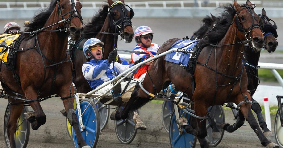 Kawartha Downs entries for Friday, Sept. 13