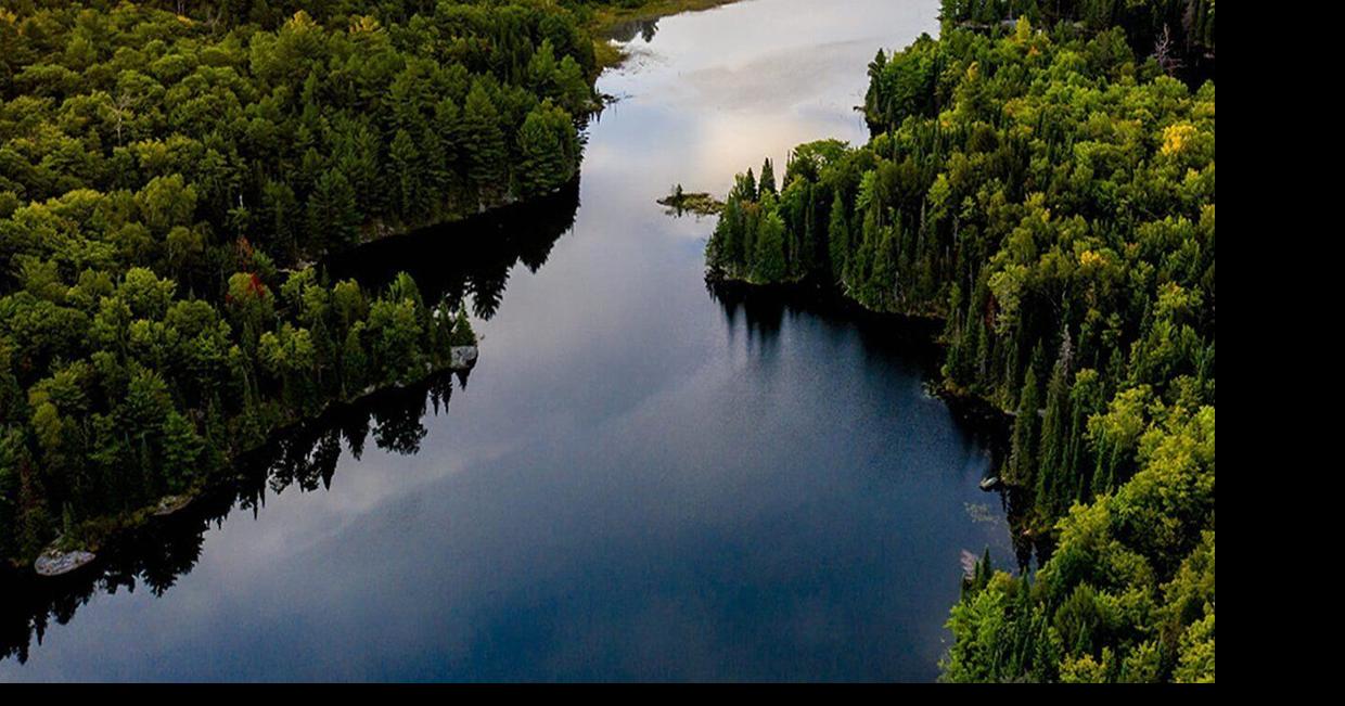 Input sought for Kawartha Conservation Areas’ strategic plan