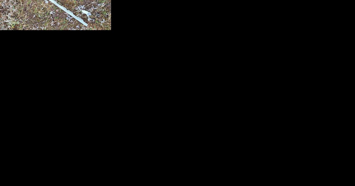 Illuminated Forest damaged at Ken Reid Conservation Area - Vimarsana News