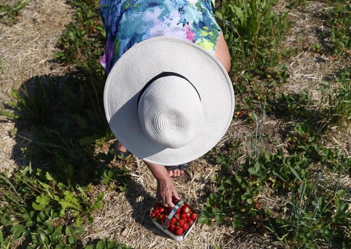 Photos Fleming College celebrates Indigenous Peoples Day with a day of