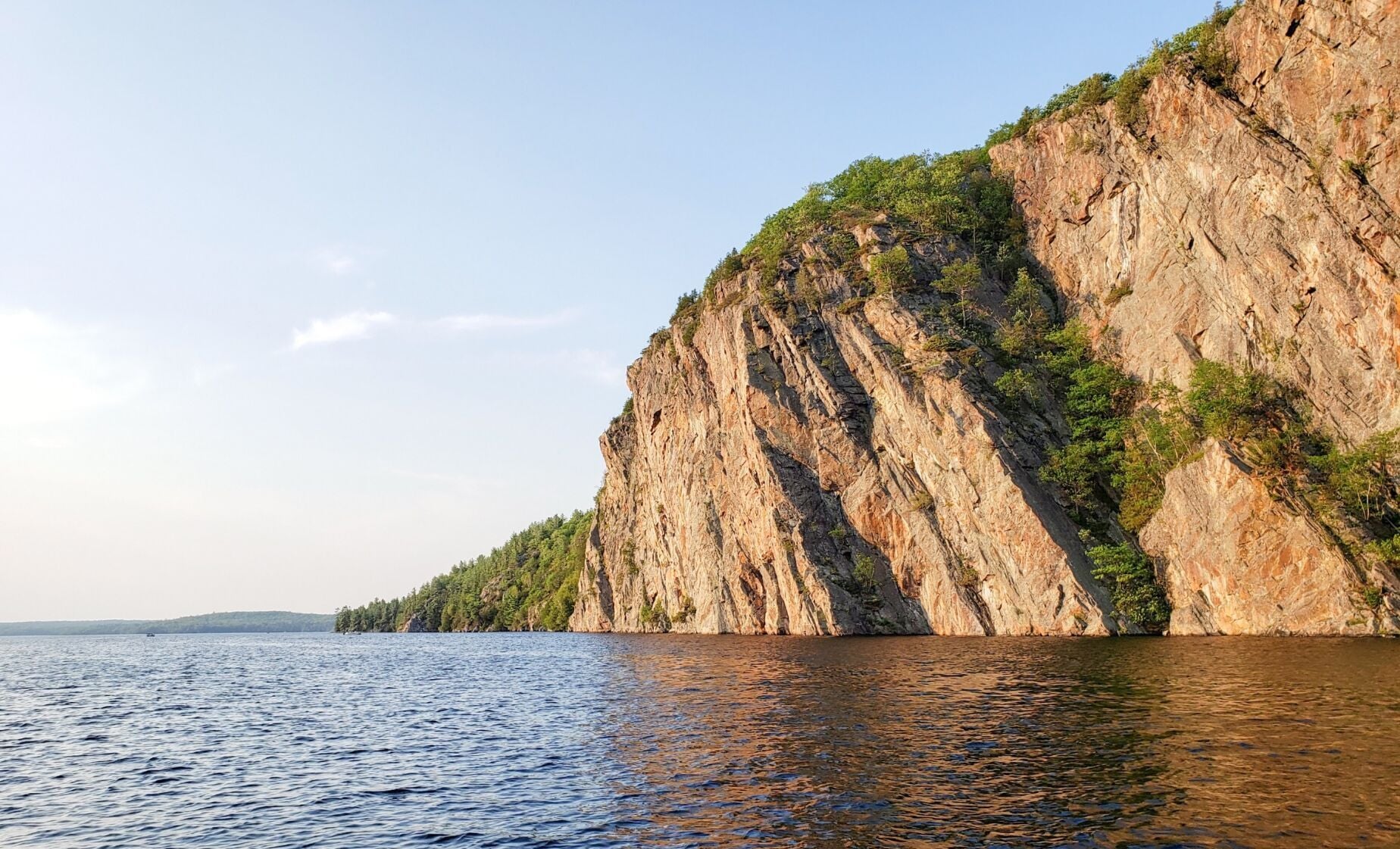 A 940-year-old Eastern white cedar lives atop Ontario's tallest cliff, Mazinaw Rock, in Bon Echo Provincial Park; the site holds over 260 Indigenous pictographs