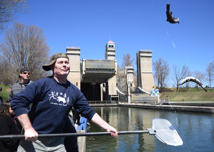 Get ready to snag Walter next month at Peterborough Lift Lock canal