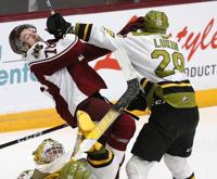 Former Trapper wins OHL title with Petes - North Bay News