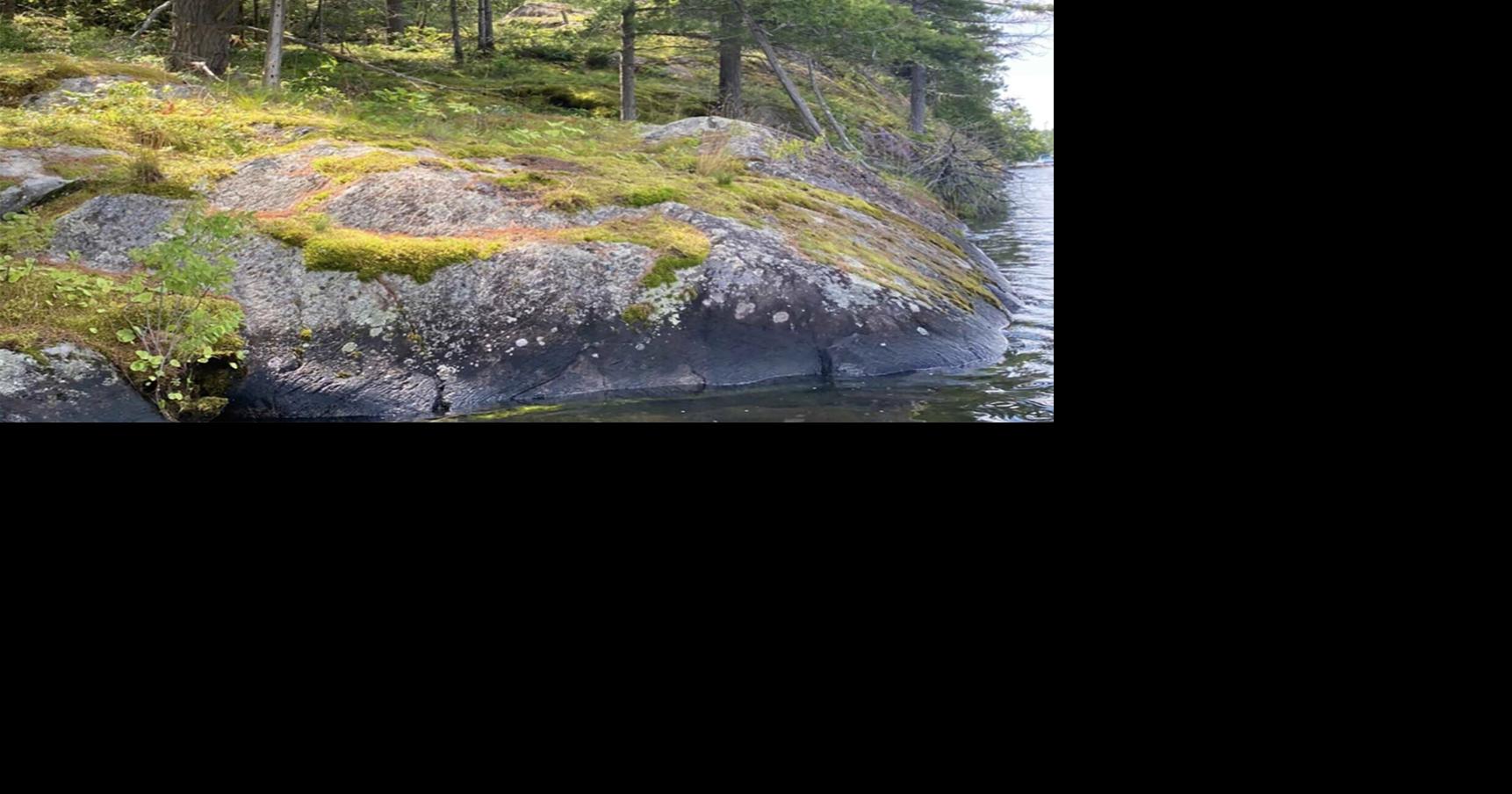 Group looks to protect more than 10 acres on Stoney Lake