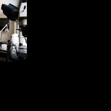 Decision Expected Tuesday On Magda Havas Bid For Rezoning For Research