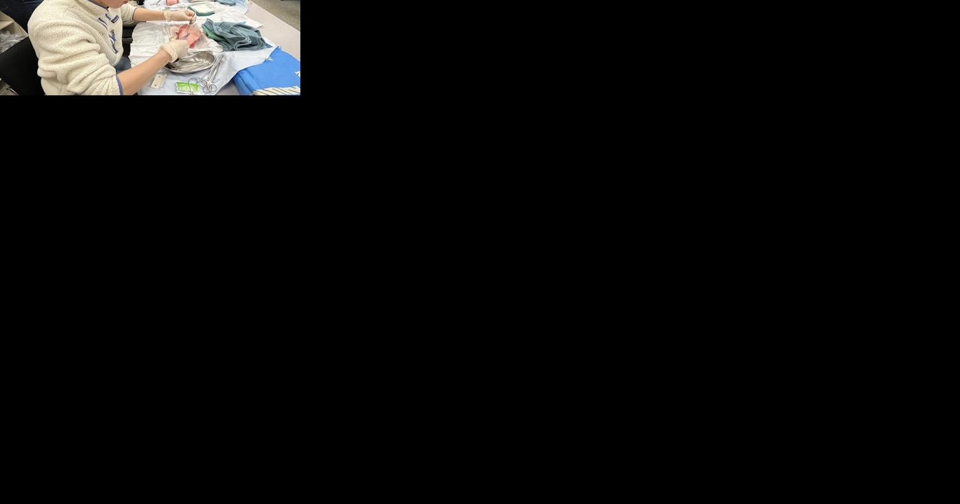 Medical students gain insight into rural healthcare options - Vimarsana News