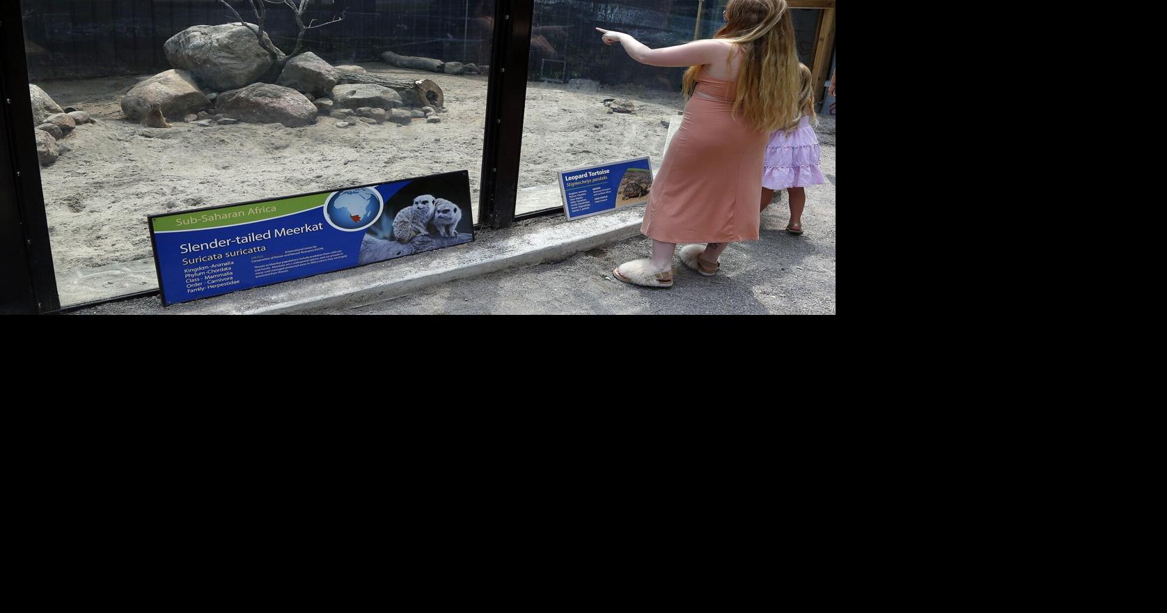 City to take over drinking water and zoo operation