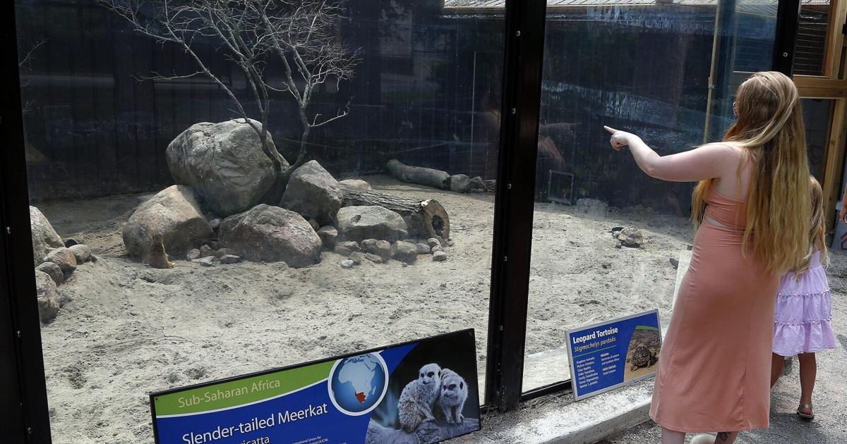 City to take over drinking water and zoo operation City to take over drinking water and zoo operation