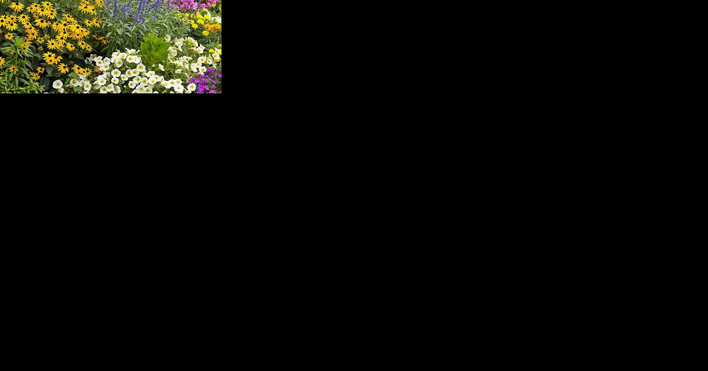 Spring plant sale returns to brighten Kawartha Lakes gardens - Vimarsana News