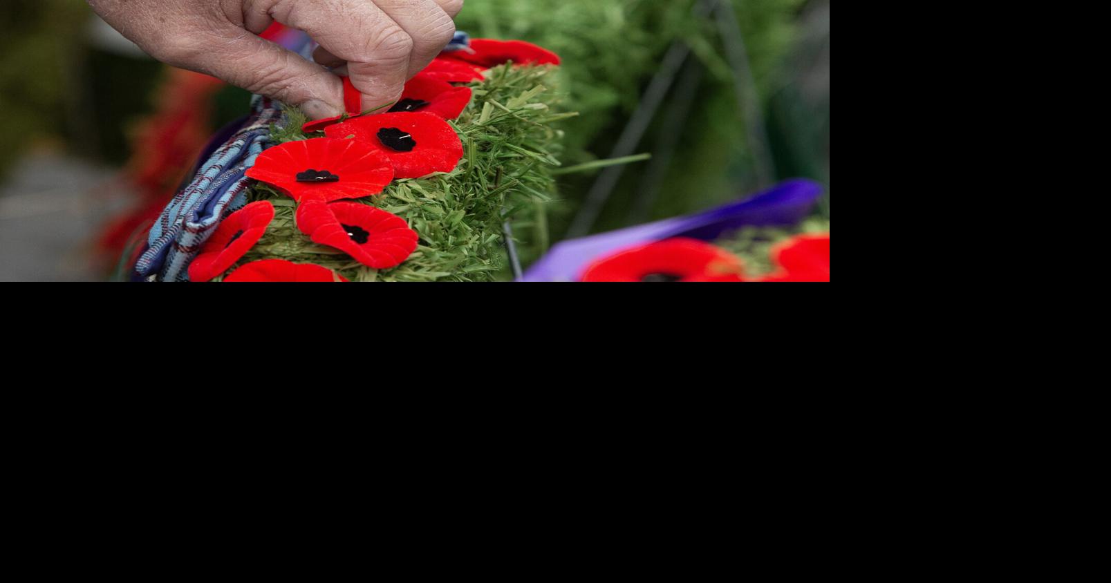 Military history walking tour before Remembrance Day