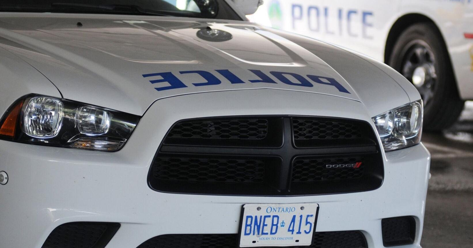 Man accused of assaulting bylaw officer and bystander
