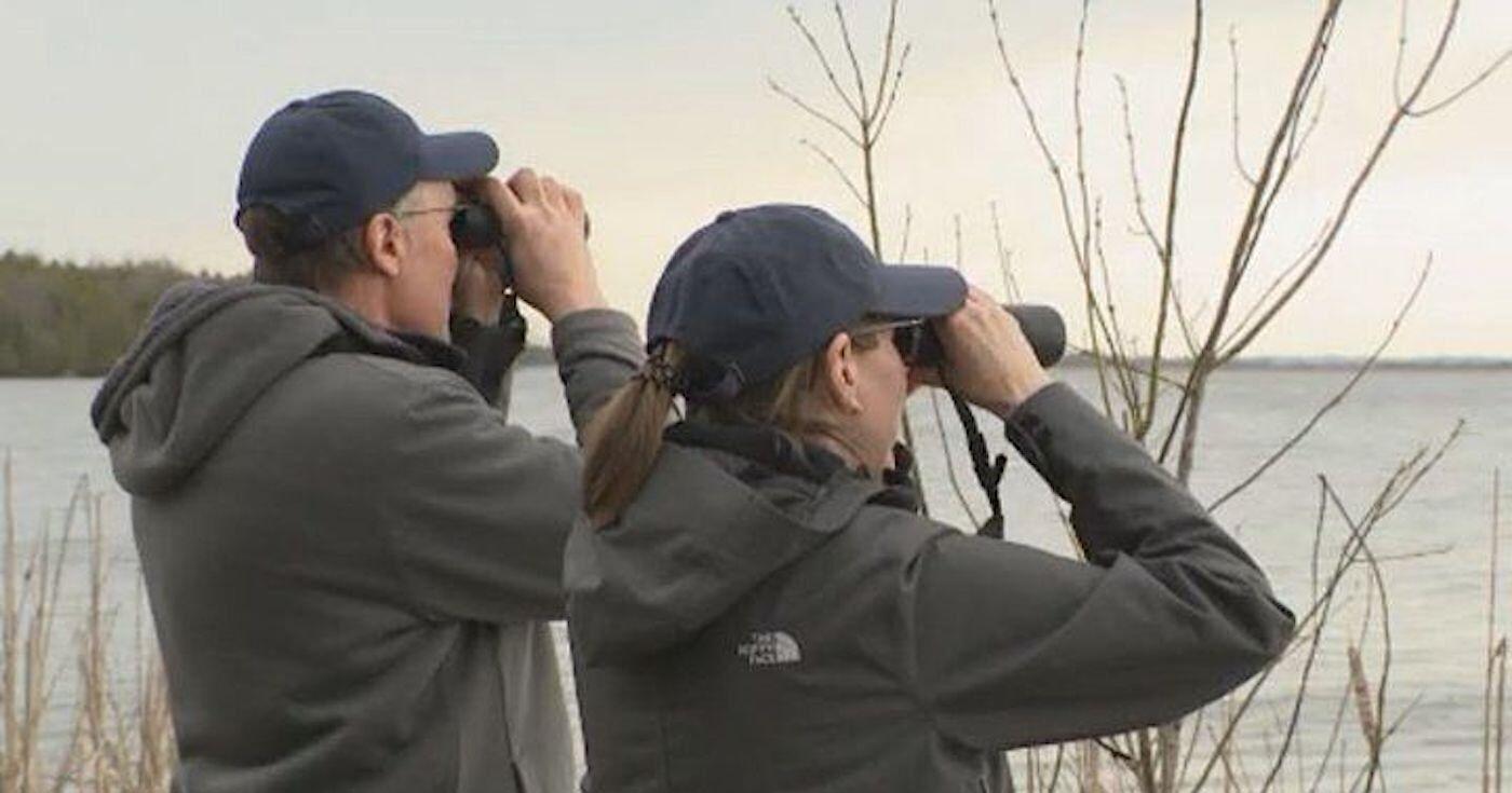 Folks invited to flock to Ken Reid for Migratory Bird Day - Vimarsana News