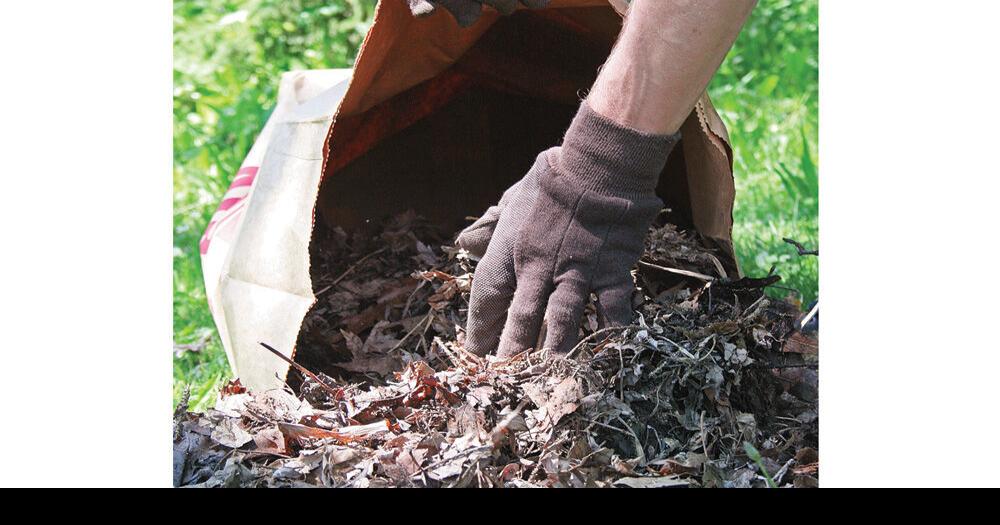 Yard waste collection in Kawartha Lakes returns next month