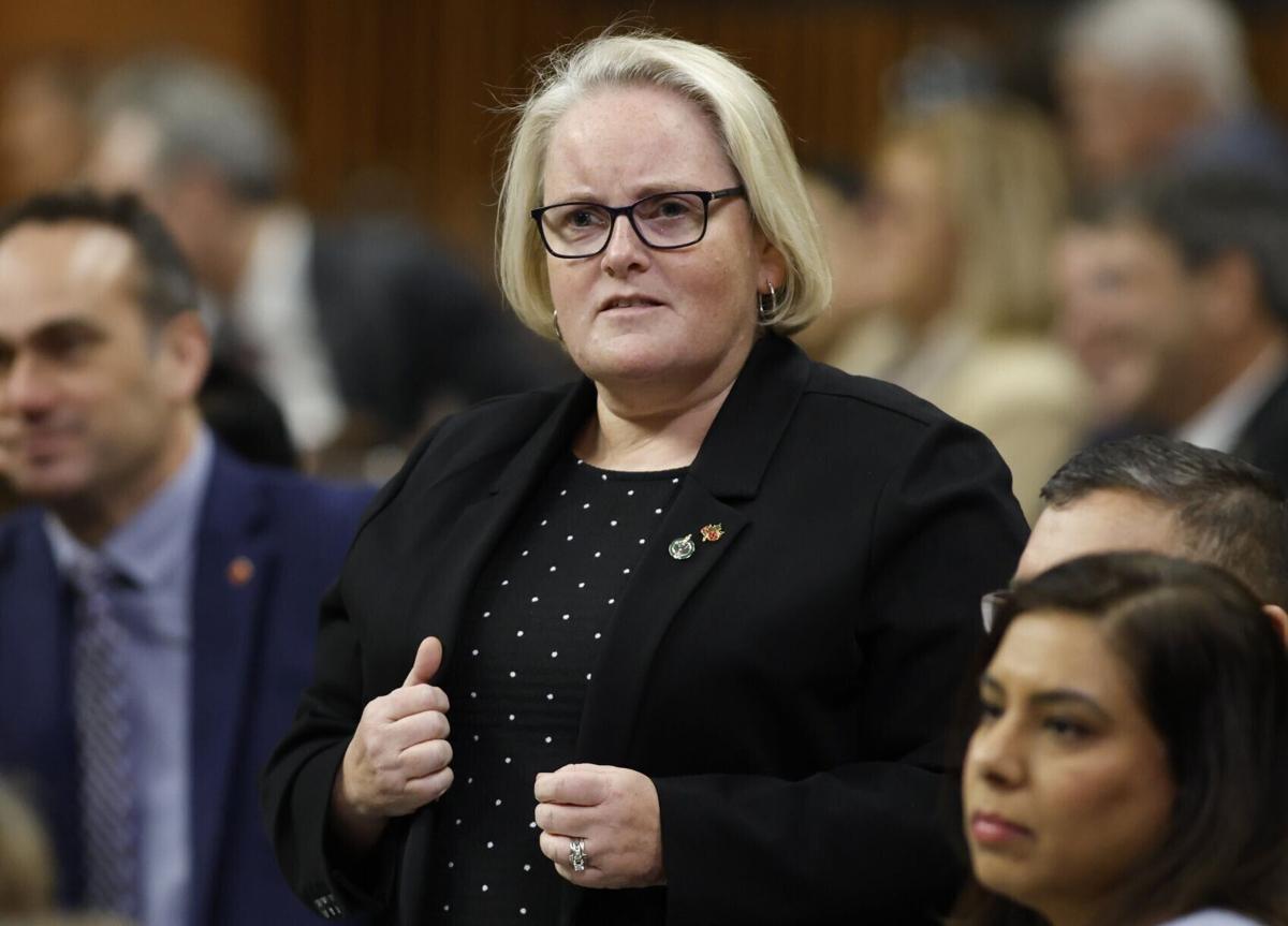 Ottawa announces review of veterans rehab program