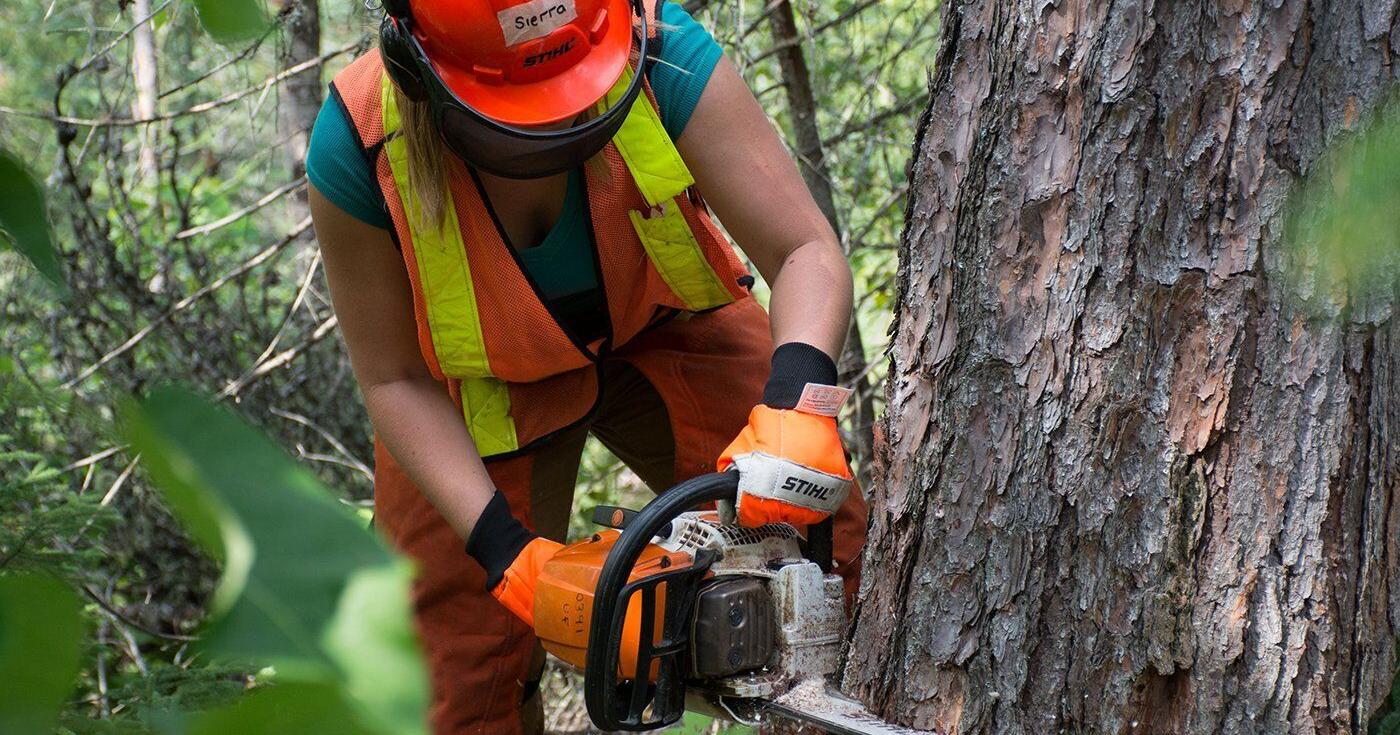 Woodland Forest Expo returns to Lindsay's Frost Campus - Vimarsana News