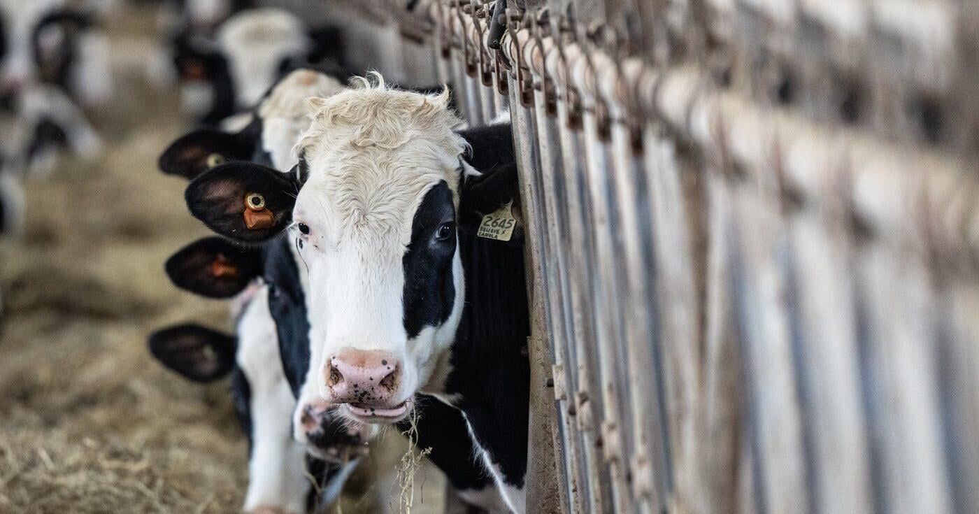 PM says Ottawa is loyal to supply management system protecting dairy sector