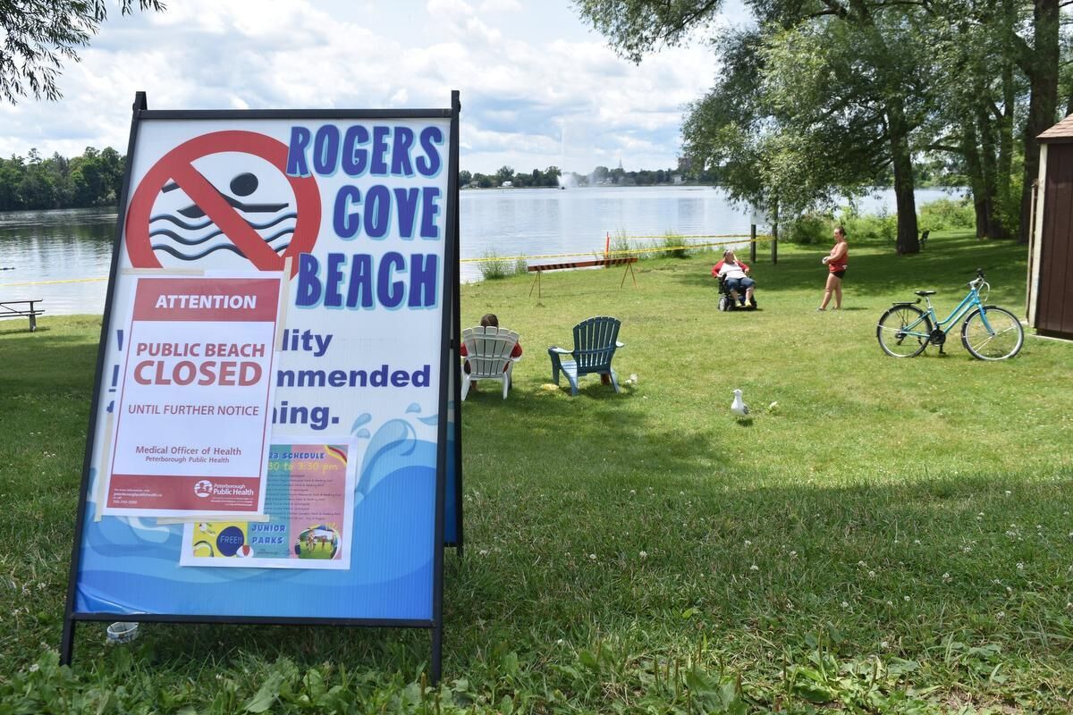 Two Little Lake beaches in Peterborough closed over algae concerns